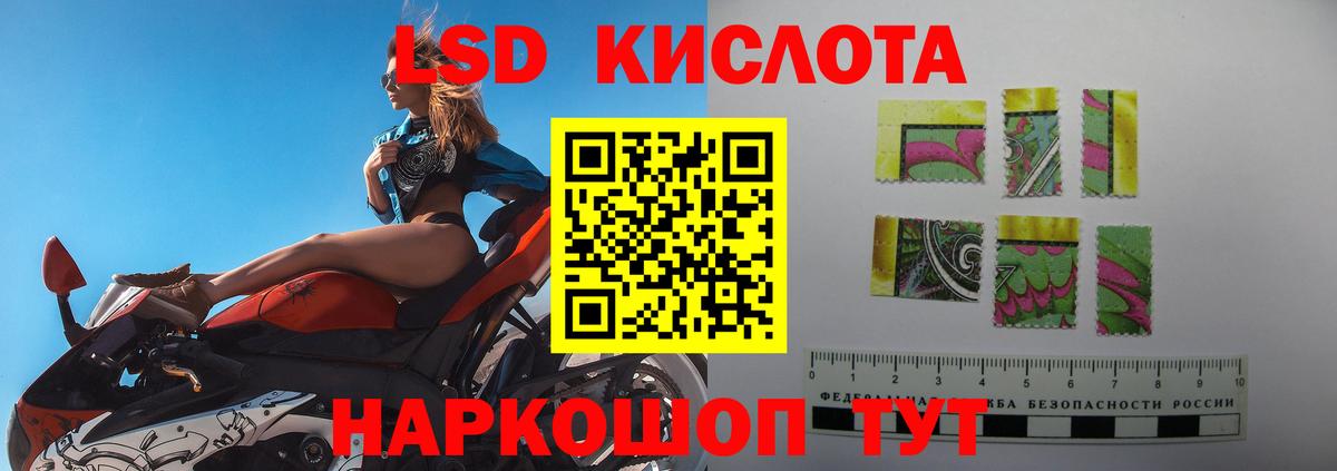 Шадринск  LSD-25 экстази кислота  Вход с VPN  Лсд 25 экстази кислота 